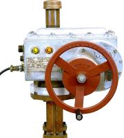 Electric Valve Actuators